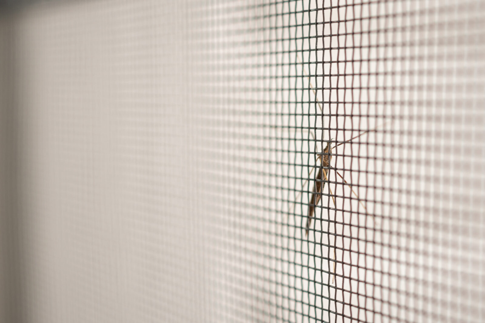 Nameščeni rolo komarniki za boljši spanec